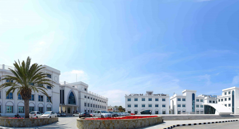 جامعة كيرنيا (Kyrenia University)